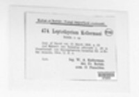 Leptothyrium kellermanii image